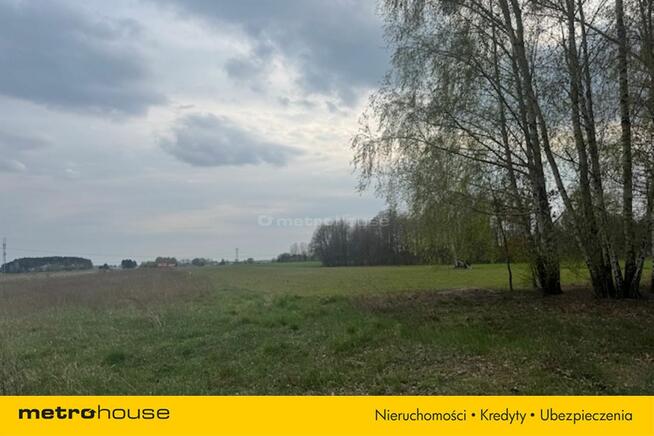 Działka Kampinos A