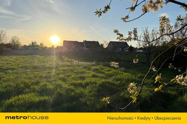 Działka inwestycyjna Przygodzice, 5000m²