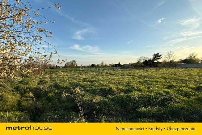 Działka inwestycyjna Przygodzice, 5000m²