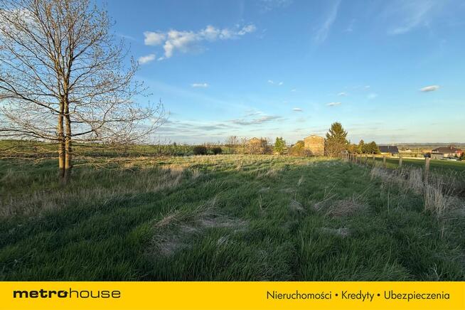 Działka inwestycyjna Przygodzice, 5000m²