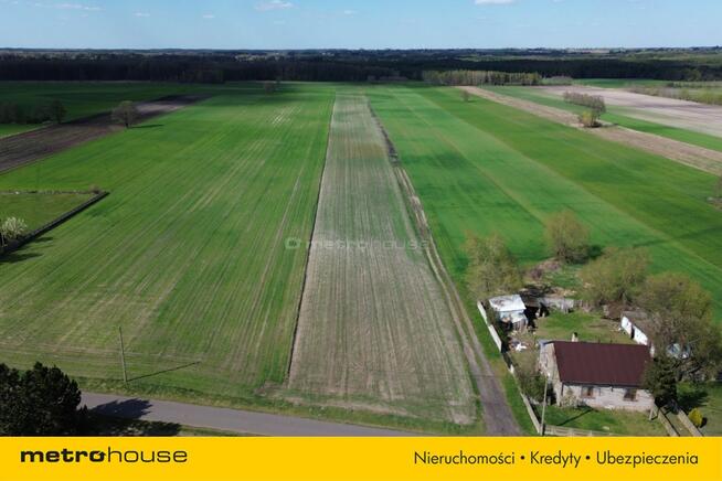Spokój Natury i Potencjał Inwestycyjny w Chrustach