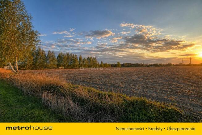 Działka na sprzedaż, 4000m2, Piaski k.Nieborowa,A2