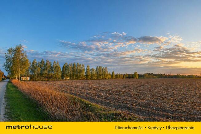 Działka na sprzedaż, 4000m2, Piaski k.Nieborowa,A2