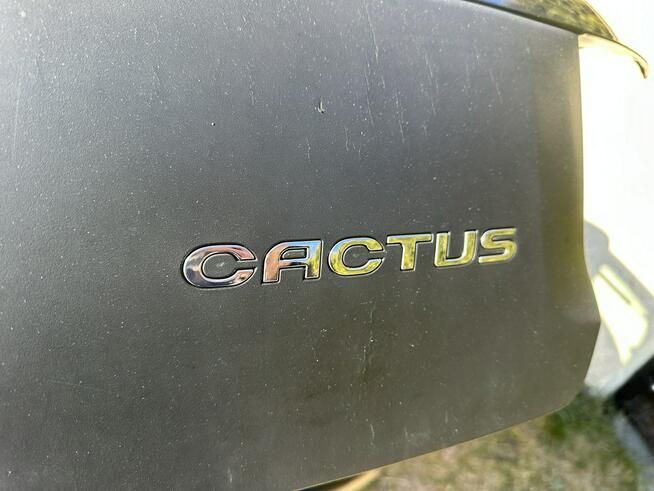 Citroen C4 Cactus Klimatyzacja, niski przebieg, isofix, opony wielosezonowe,lakier perła