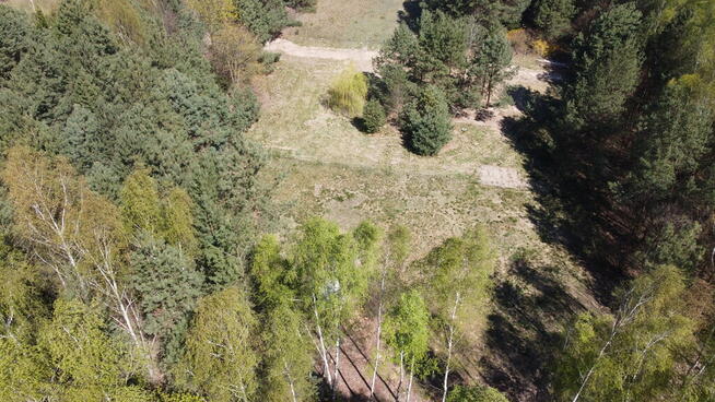 Działka 3117 m2 pośród drzew w Kowali gm. Puławy.
