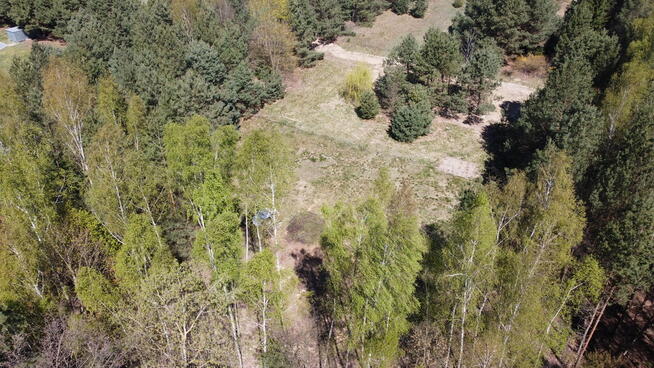 Działka 3117 m2 pośród drzew w Kowali gm. Puławy.