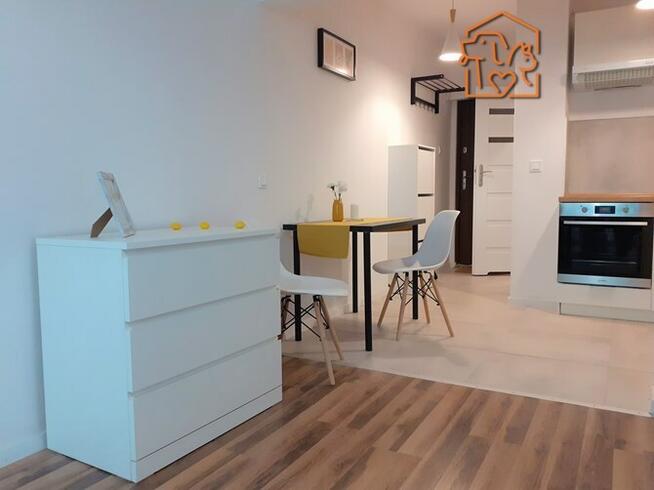 Wynajmę jasną kawalerkę, pet-friendly, Ziołowa 43A