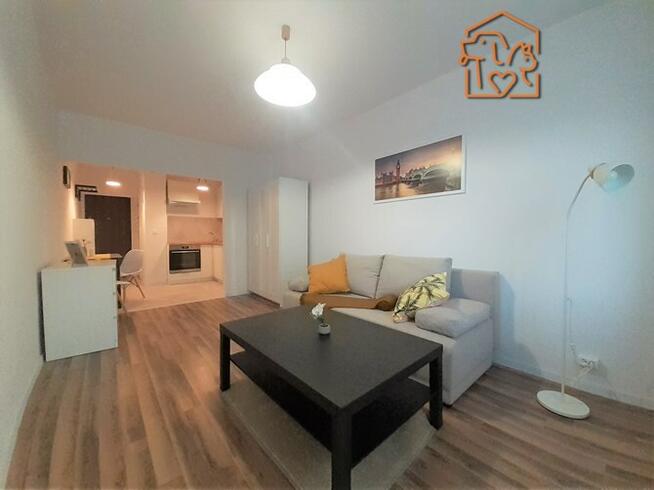 Wynajmę jasną kawalerkę, pet-friendly, Ziołowa 43A