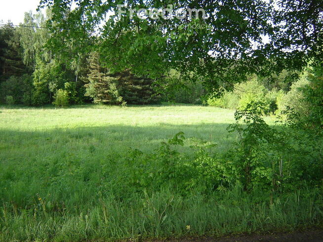Działka budowlana przy lesie Warmia Mazury