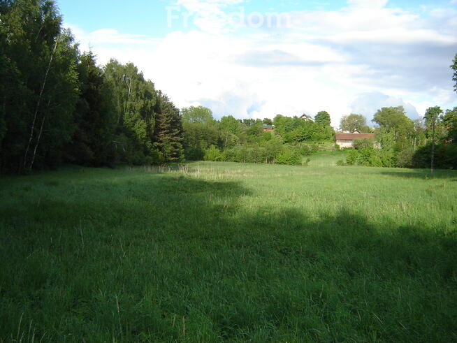 Działka budowlana przy lesie Warmia Mazury