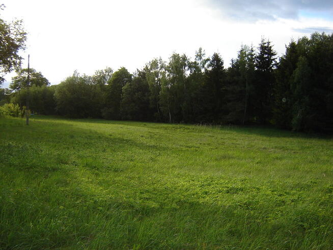 Działka budowlana przy lesie Warmia Mazury