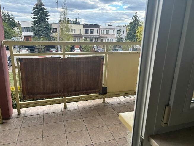 Wynajmę mieszkanie w ładnej i spokojnej okolicy