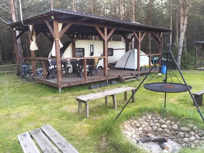 Sprzedam kompleks 12 działek leśnych o łącznej powierzchni 3