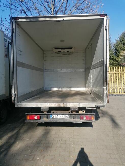 Na sprzedaż Renault Maxity chłodnia sprawny