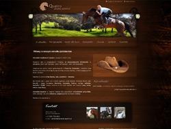 Tworzenie stron internetowych, pozycjonowanie