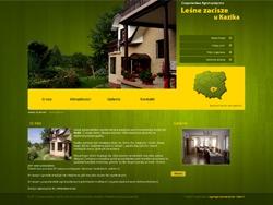 Tworzenie stron internetowych, pozycjonowanie