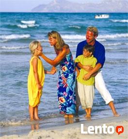 Studia, obozy językowe, kursy dla dorosłych - cały świat