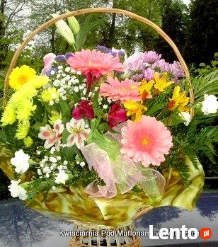 KWIATY Z DORĘCZENIEM - Kwiaciarnia Pod Muflonami WAŁBRZYCH