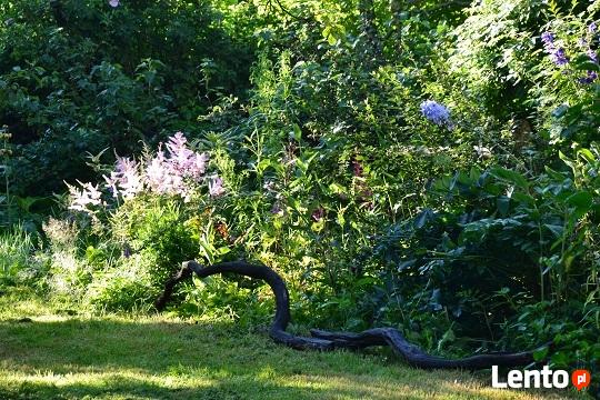 Agroturystyka Dom Pracy Twórczej w Wolimierzu nr 54.