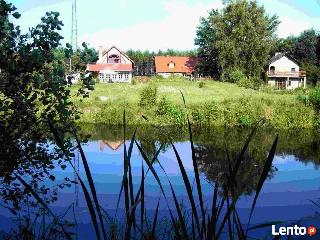 Do wynajęcia na weekendy, majówki, wczasy „Dom Wśród Lasow”