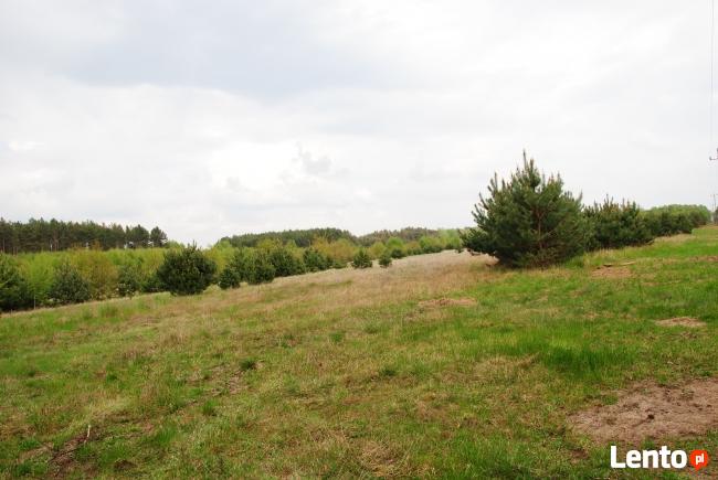 sprzedam działkę budowlaną Słone k.Zielonej Góry