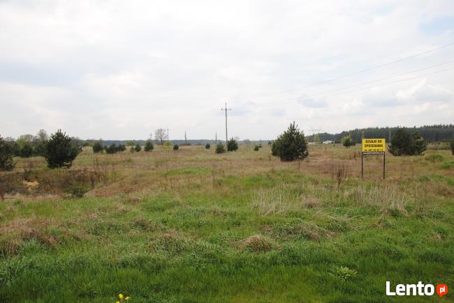 Sprzedam działki budowlane w Świdnicy k.Zielonej Góry