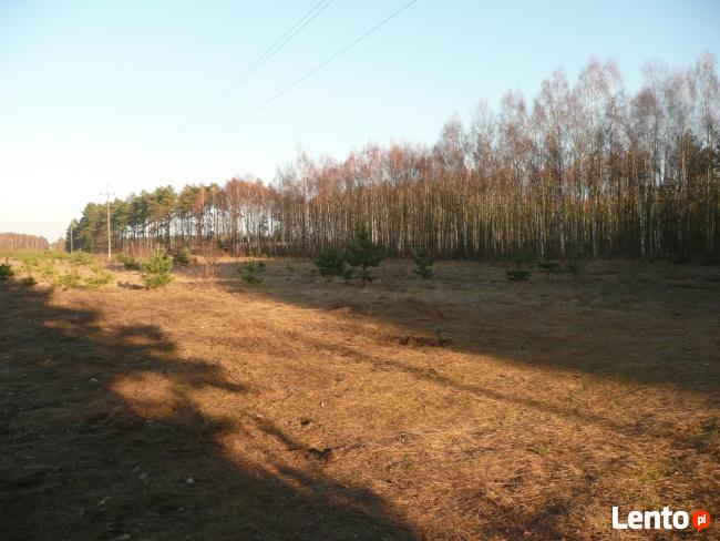 sprzedam działkę budowlaną Słone k.Zielonej Góry