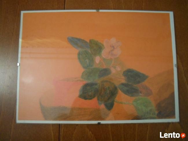 Akwarela na sztywnym papierze