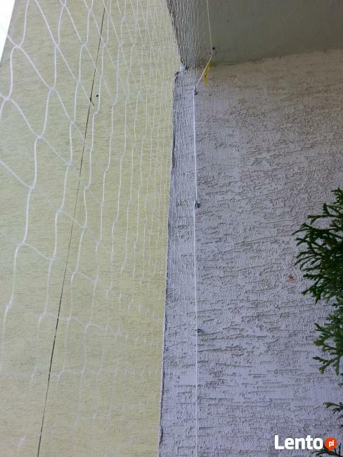 Montaż siatki zabezpieczającej dla kota