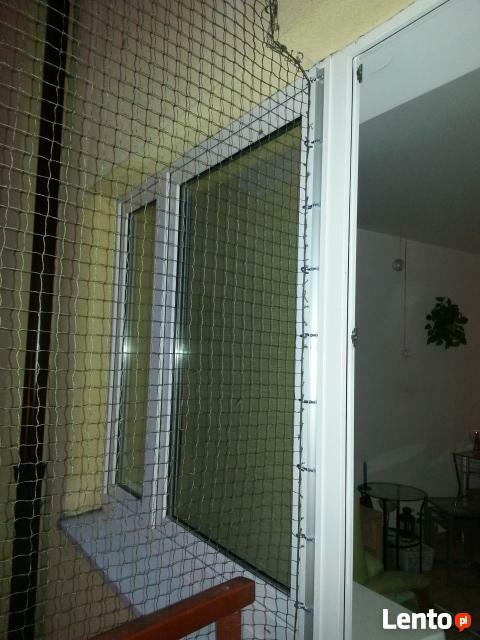 Solidna siatka dla kota, nie ucieknie