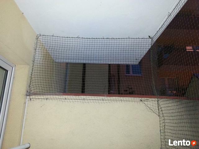 Solidna siatka dla kota, nie ucieknie