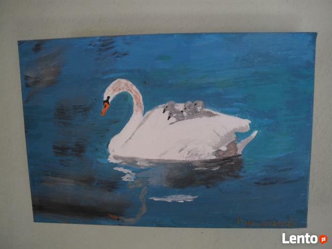 Obraz na płótnie 30x20 cm, akryl