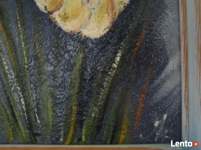 Obraz olejny z ramą 53x37 cm