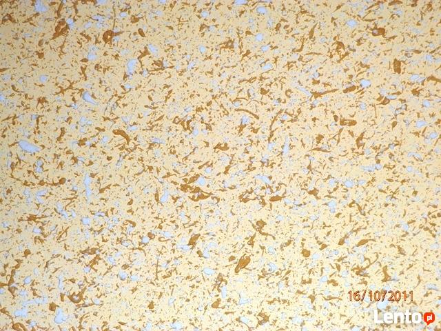 MALOWANIE , TAPETA NATRYSKOWA