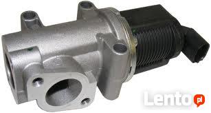 Wyłączanie, usuwanie EGR Poznań