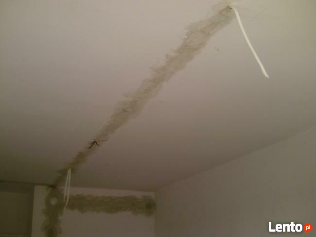 Elektryk Murowana Goślina 505724006