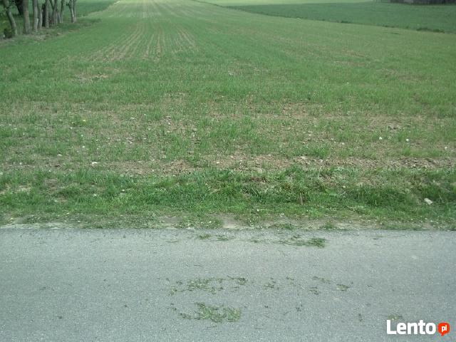 Działka budowlana 94 ar