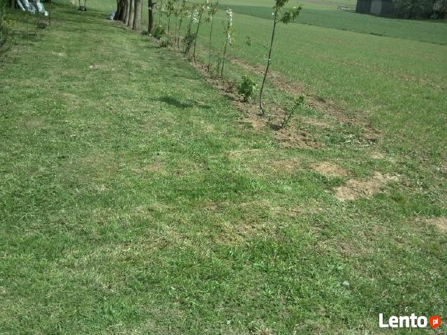 Działka budowlana 94 ar