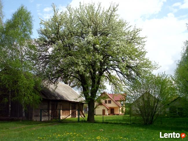 Wypoczynek w gospodarstwie agroturystycznym