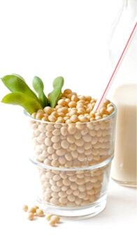 DIETETYK KLINICZNY mgr Natalia Klapińska WRONKI