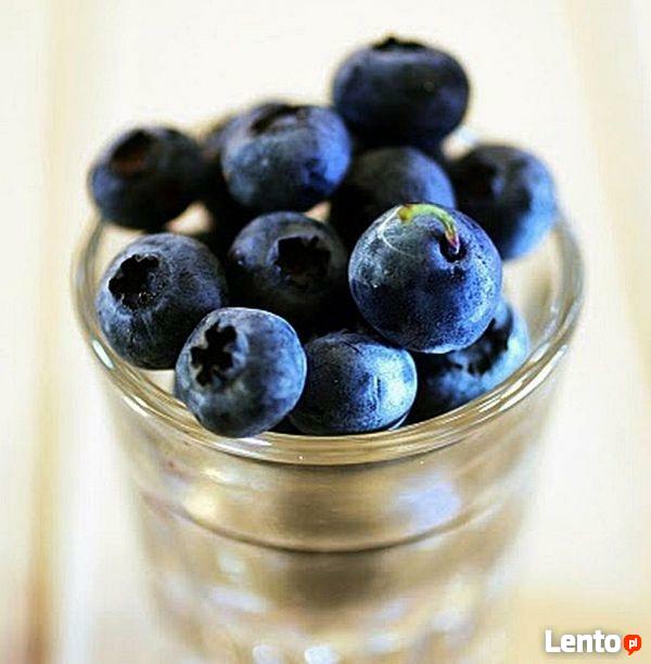 Dietetyk kliniczny mgr Natalia Klapińska