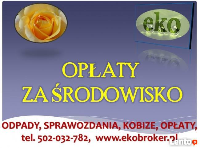Kobize raport, tel 502-032-782 Wezwanie kobize, raporty,