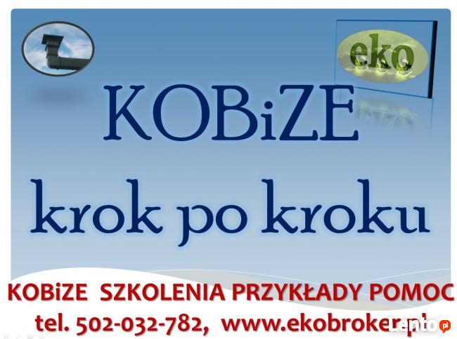 Kobize raport, tel 502-032-782 Wezwanie kobize, raporty,