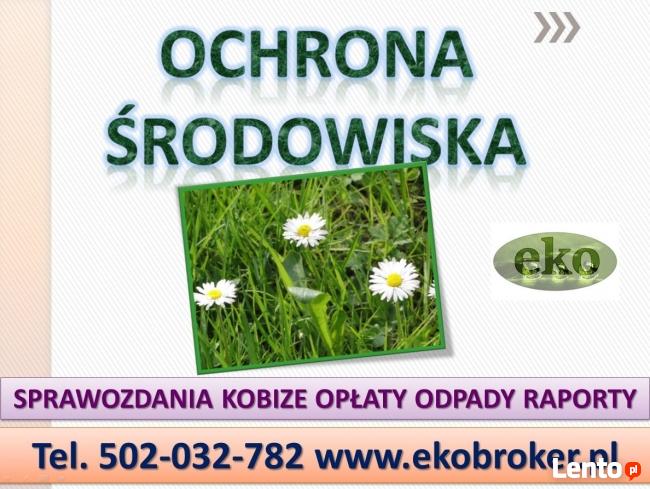 Karta informacyjna przedsięwzięcia cena, tel 502-032-782