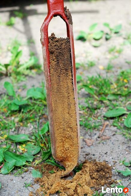 Geolog. Badania gruntu. Geotechnika. Odwierty geologiczne