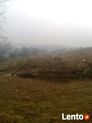 WYCINKA DRZEW- SOLIDNIE, BEZPIECZNIE!