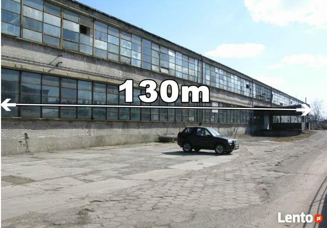 BUDYNEK MAGAZYNOWO-PRODUKCYJNY DO WYNAJĘCIA