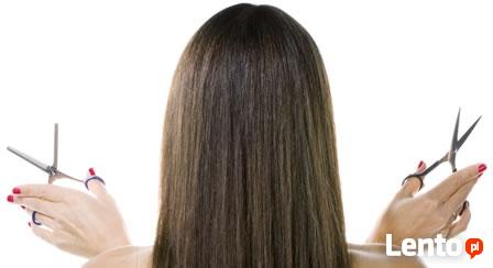 PROFESJONALNY SKUP WŁOSÓW ŁOWICZ