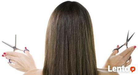 PROFESJONALNY SKUP WŁOSÓW