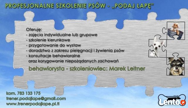 Podaj-Łapę Profesjonalne Szkolenie Psów Przemyśl